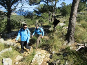 IMG_4460 (Medium)